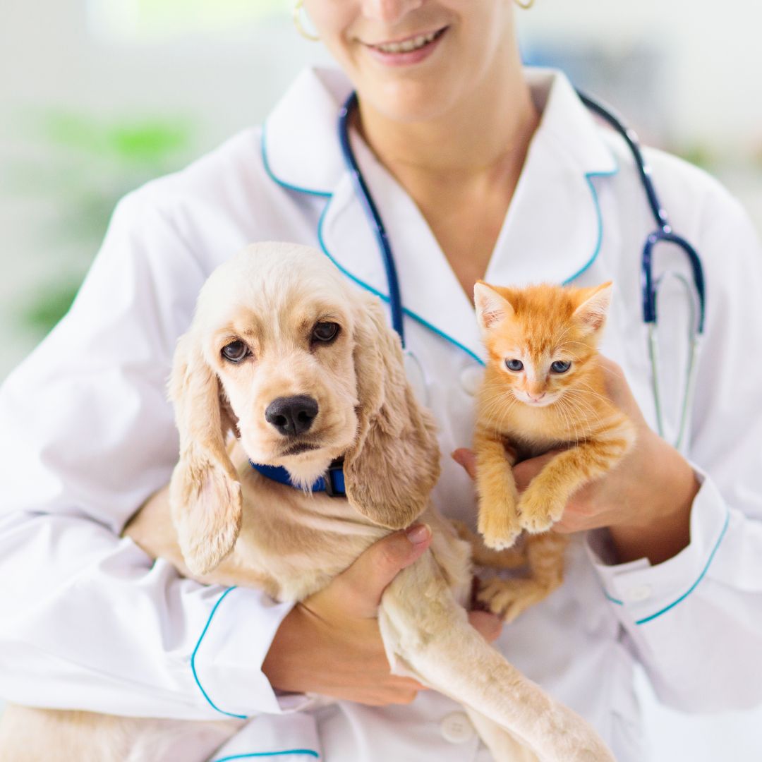 General Practice General Practice