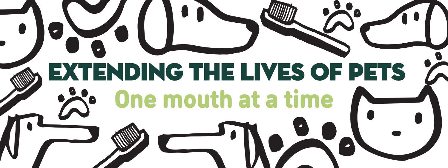 Green Dog Dental Banner