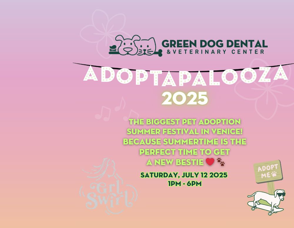 Adoptapalooza 2025