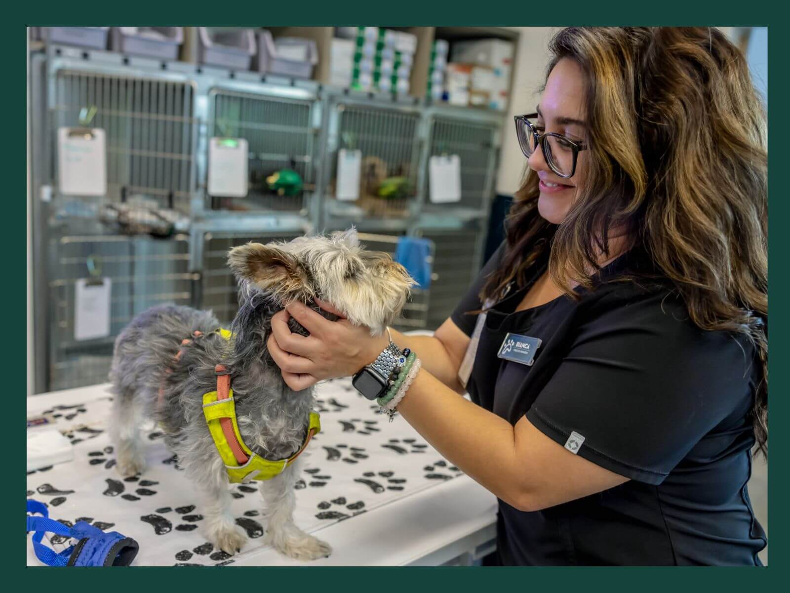 Green Dog animal photo 3