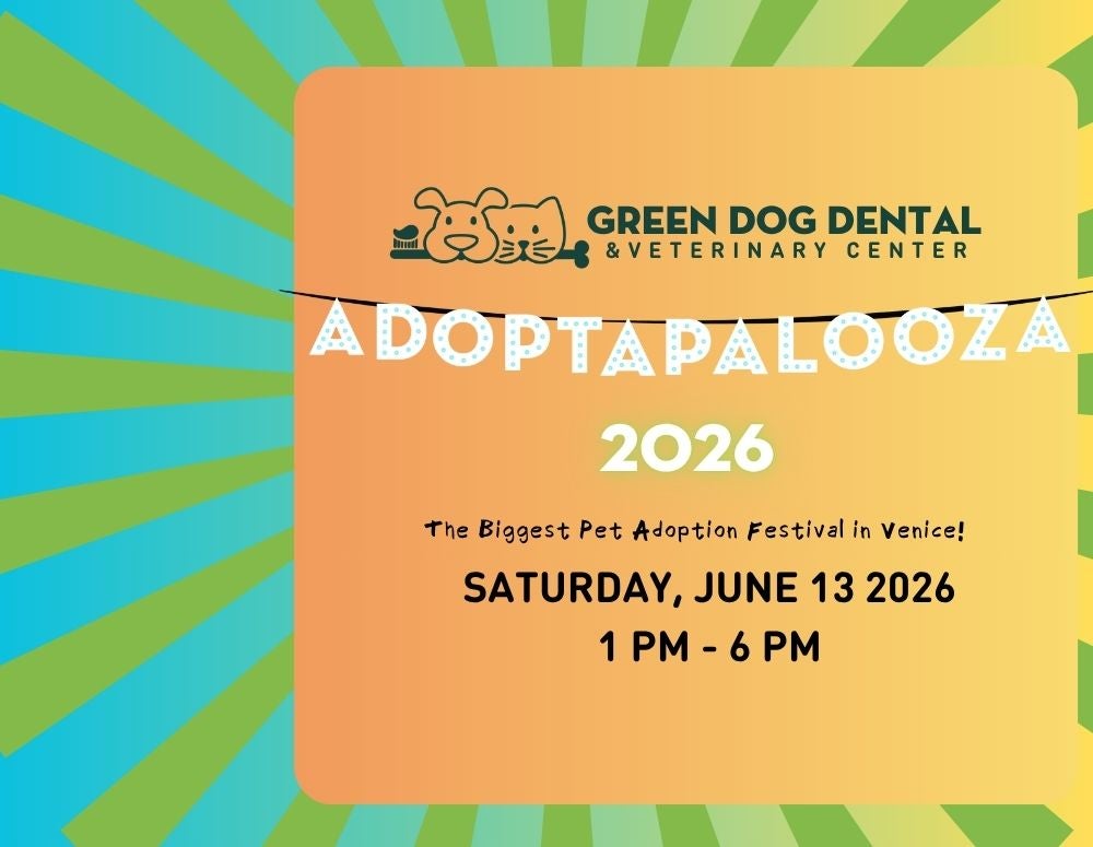 Adoptapalooza flyer 2026.