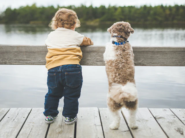 kid with dog
