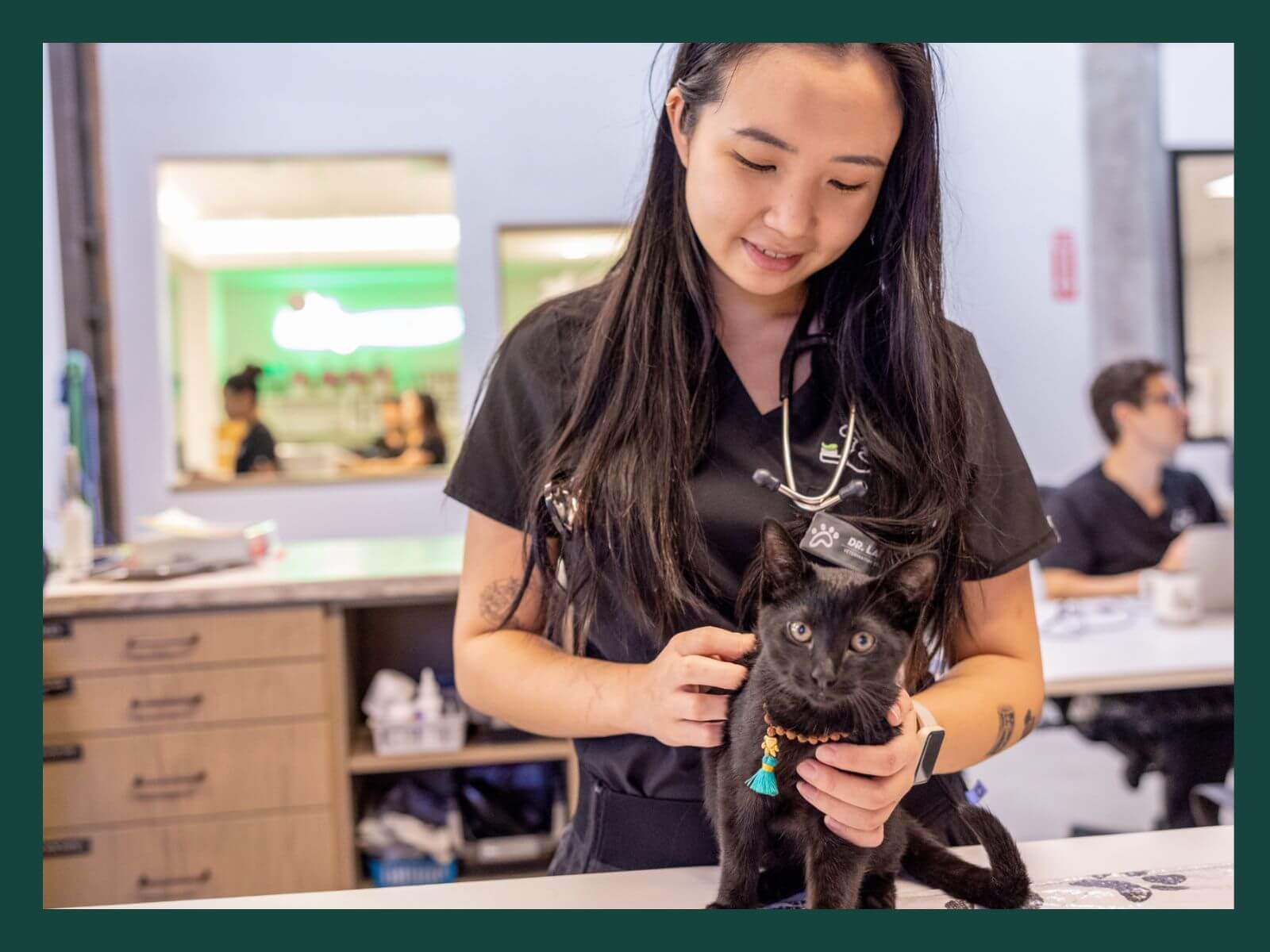Veterinarian examining a kitten at Green Dog