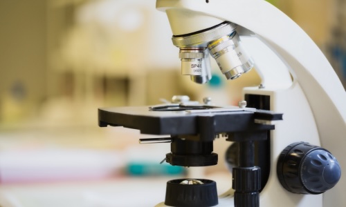 Close-up of a professional microscope in a veterinary laboratory, representing diagnostic lab services in Sherman Oaks
