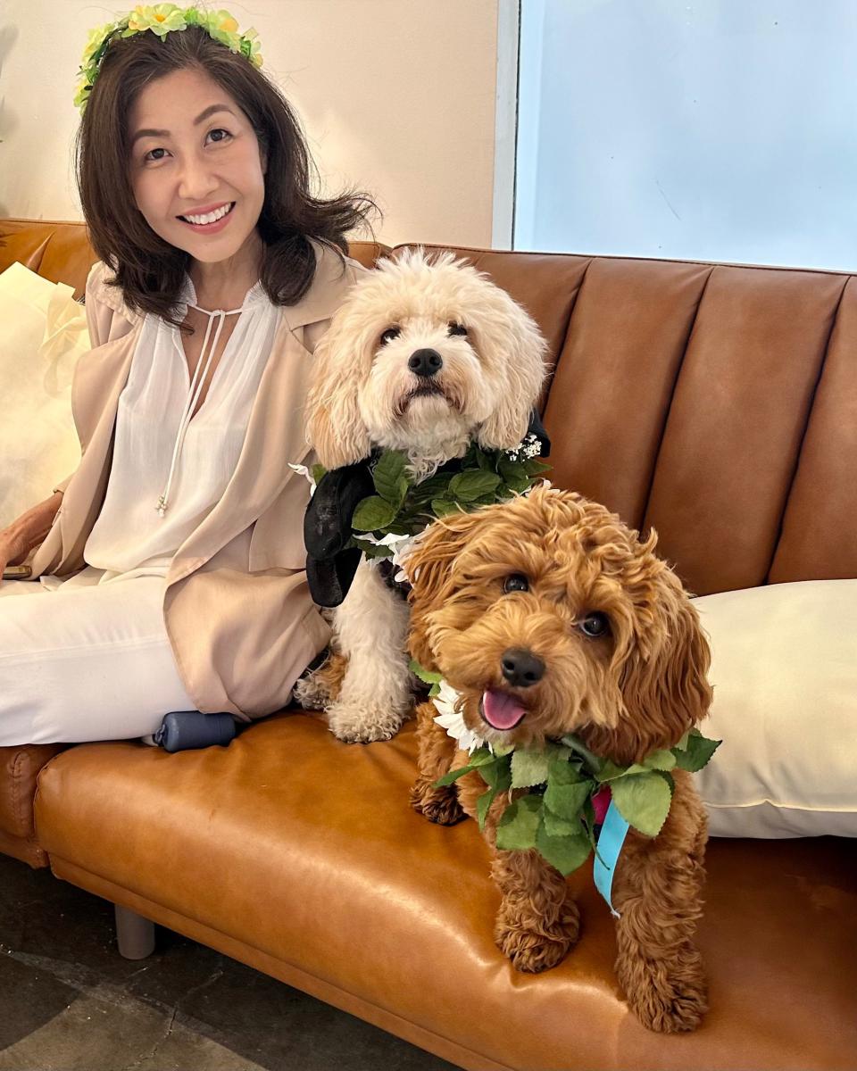 greendogdental_couch