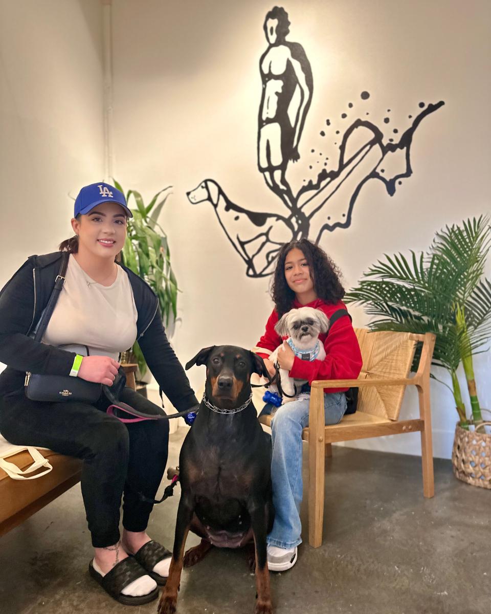 greendogdentalallergies