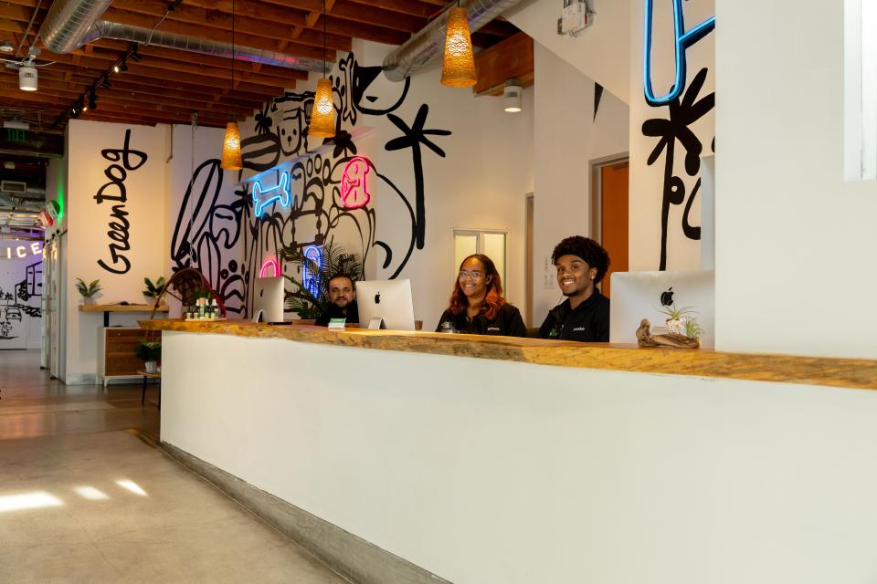 Green Dog Veterinary Center's front desk staff