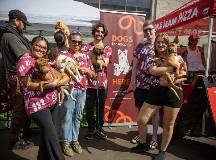 Green Dog Dental & Veterinary Center Celebrates Adoptapalooza with Over 1,000 Attendees and Dozens of Successful Adoptions
