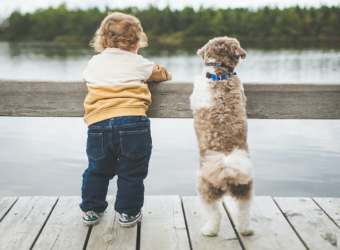 10 Reasons Why Shelter Dogs Are The Best