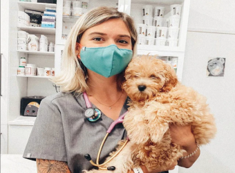 The Truth About Vaccines and Your Pets